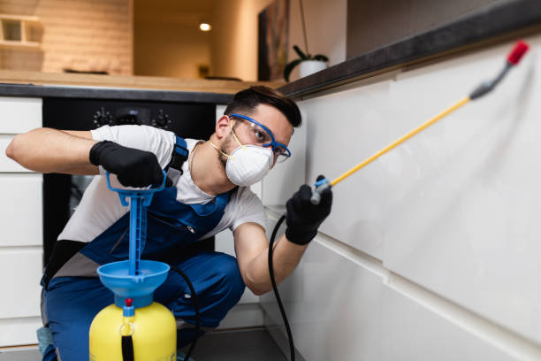 Best Ant Control Services  in Toledo, OR