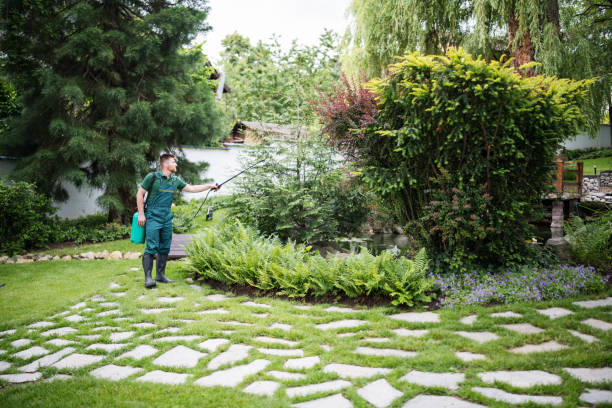 Pest Prevention Services in Toledo, OR