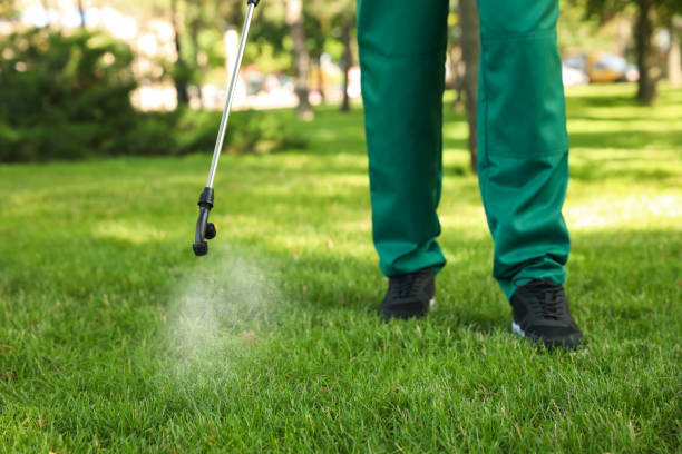 Best Pest Control Near Me  in Toledo, OR