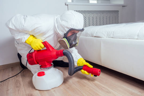 Best Bed Bug Extermination  in Toledo, OR