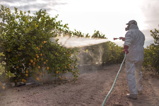 Best Pest Removal Services  in Toledo, OR