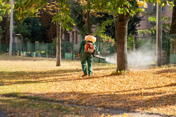 Best Wildlife Control Services  in Toledo, OR