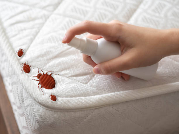 Best Insect Control  in Toledo, OR