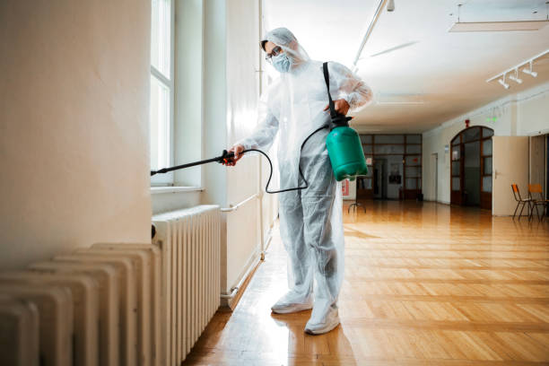 Best Rat Extermination Near Me  in Toledo, OR