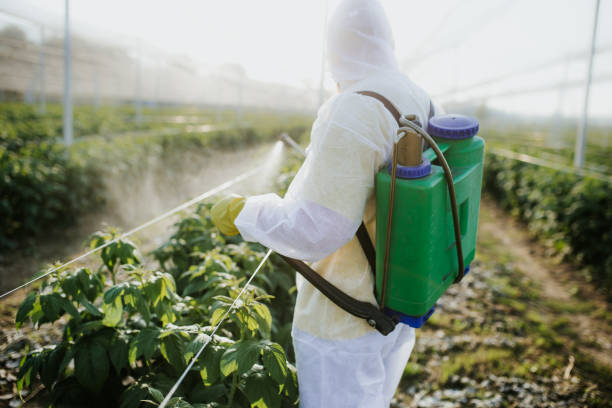 Best Exterminator Services  in Toledo, OR